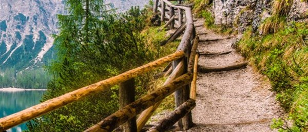 Pathway Collection Travel Insurance