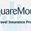Top-Selling Travel Insurance Providers 2022 by Month